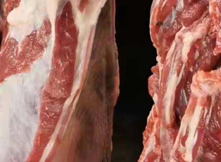 带皮驴肉