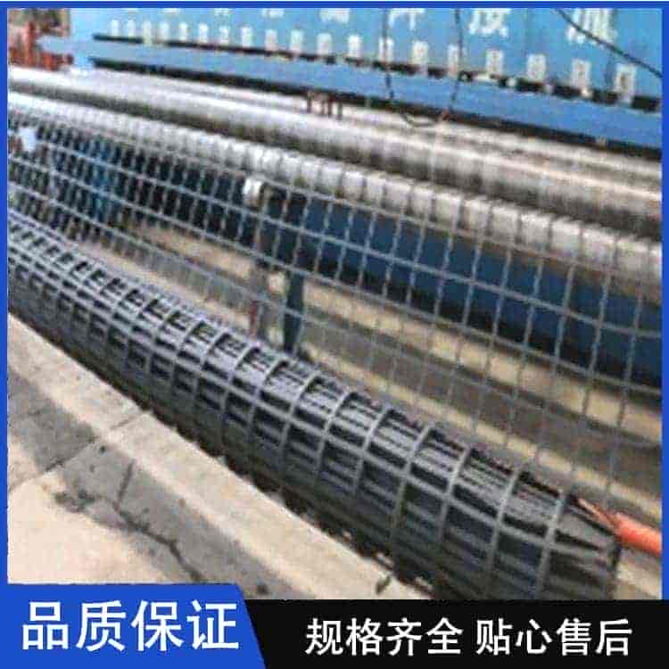 双向土工格栅