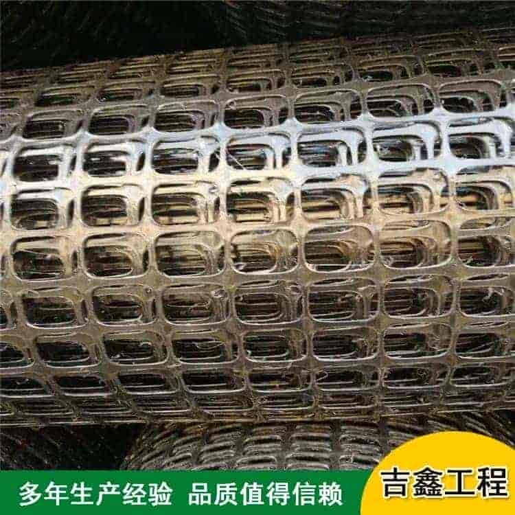 双向土工格栅