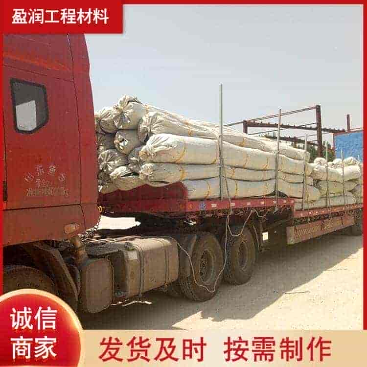 100KN软土基钢塑格栅